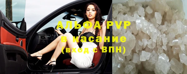 шишки Беломорск