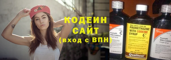 шишки Беломорск