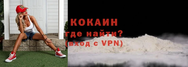 шишки Беломорск