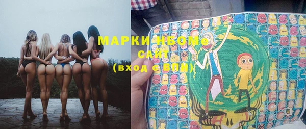 шишки Беломорск