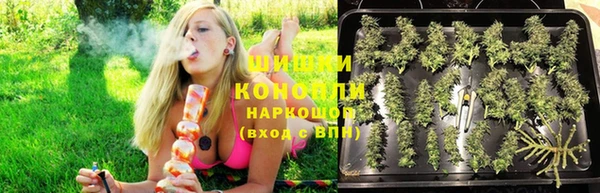 сатива Белокуриха