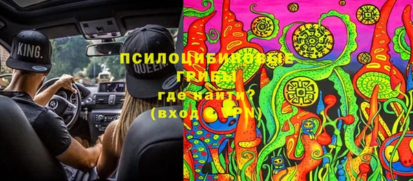 сатива Белокуриха