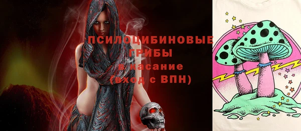 шишки Беломорск