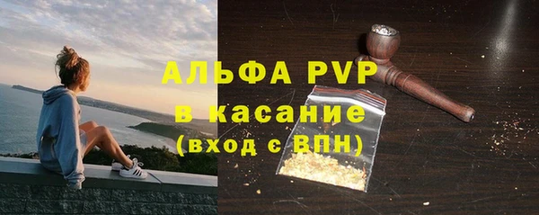 сатива Белокуриха
