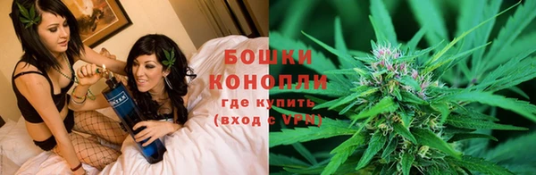 гидра Белоозёрский