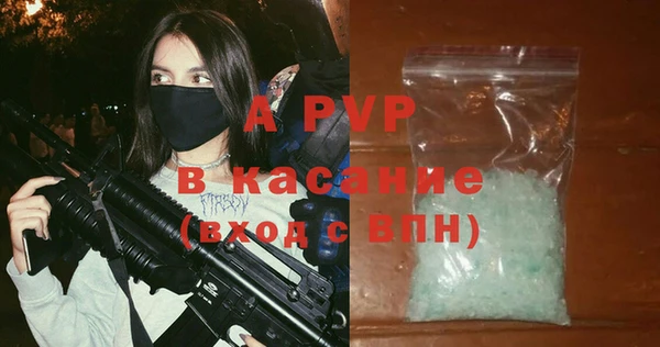 сатива Белокуриха