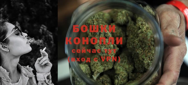 шишки Беломорск