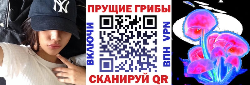 Галлюциногенные грибы прущие грибы  Светогорск 